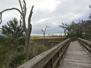 Cradle Creek Preserve