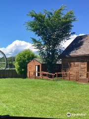 Fort Assiniboine Museum