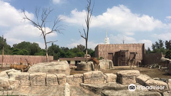 Zoo San Juan De Aragon