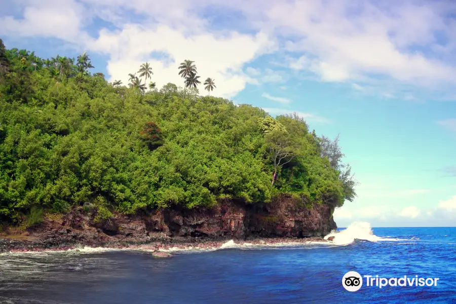 Hakalau Beach