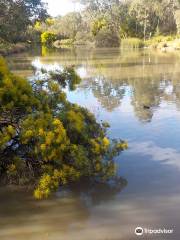 Ringwood Lake