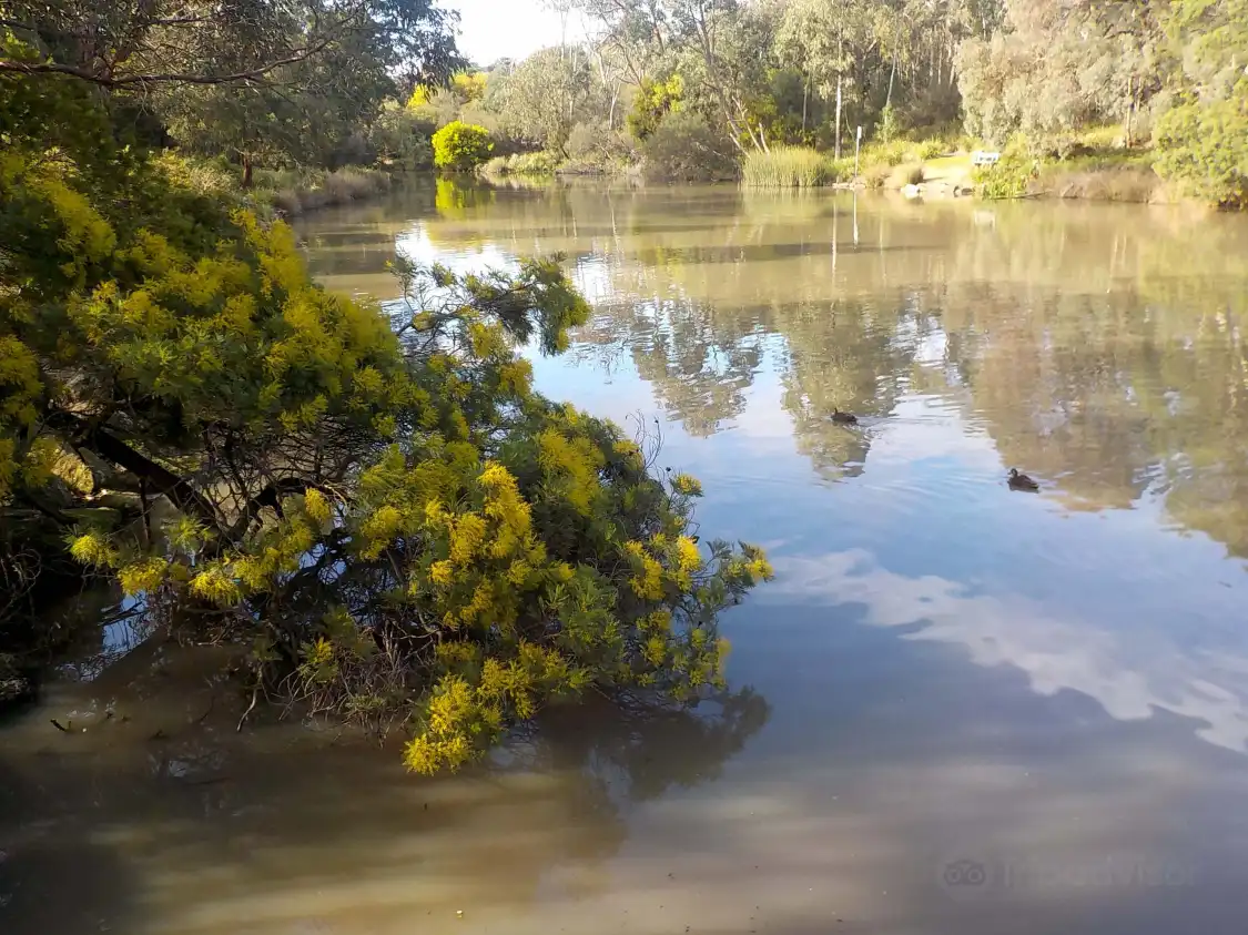 Hotels near Ringwood Lake