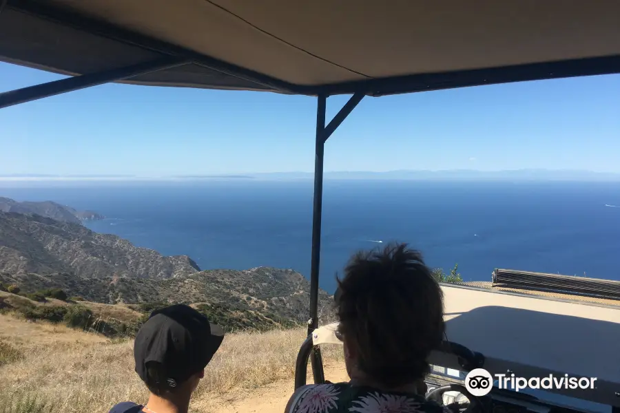 Catalina Island Tour