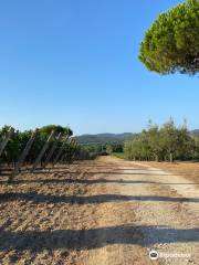 Tenuta Poggio Rosso