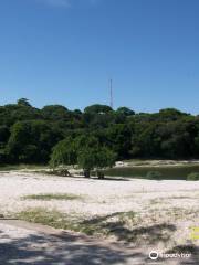 Parque das Dunas Salvador