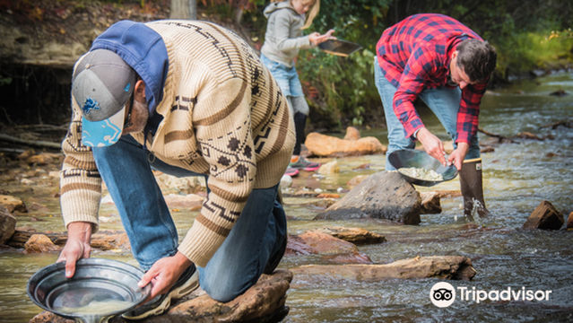 Free Gold Panning - Claim #6