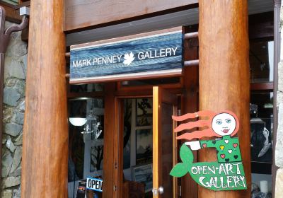 Mark Penney Gallery