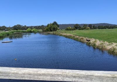 Panboola Wetlands