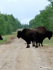 Queen Elizabeth Territorial Park