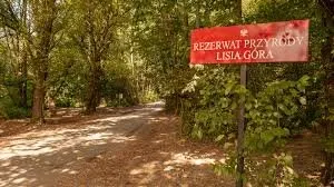 Rezerwat Przyrody Lisia Góra