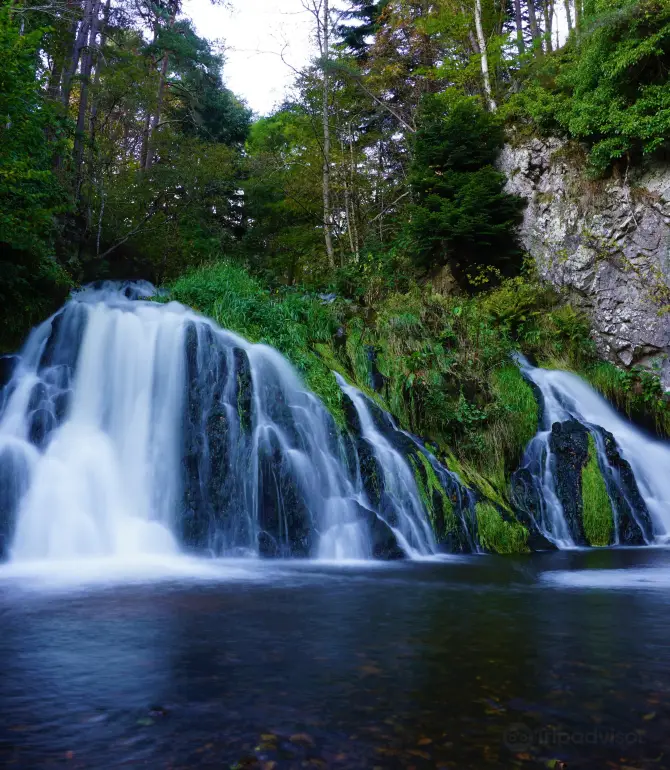 Aboyne