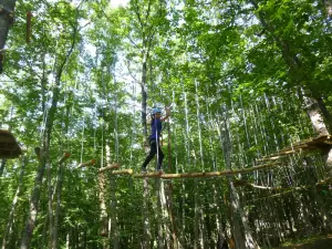 Carpegna Park - Family Adventure Mountain