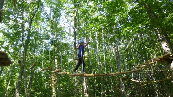 Carpegna Park - Family Adventure Mountain