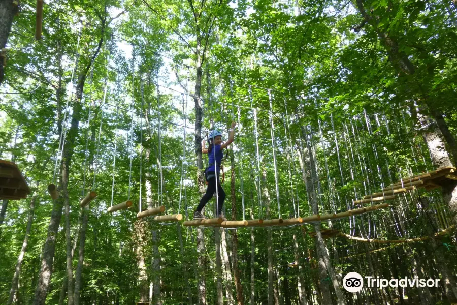 Carpegna Park - Family Adventure Mountain