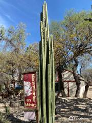 Jardín Botánico Regional de Cadereyta