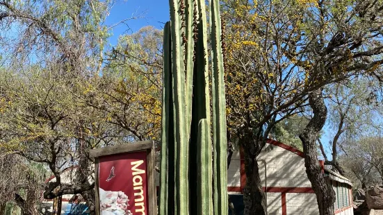 Jardin Botanico Regional de Cadereyta