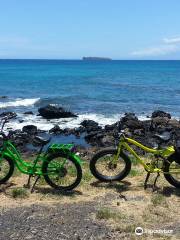 Pedego Electric Bikes Kailua