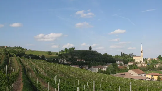 Cantina Nani 1967 - Tenuta Castello di Rubaro