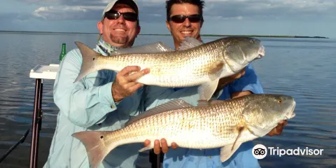 Captain Dave Perkins Fishing Charters