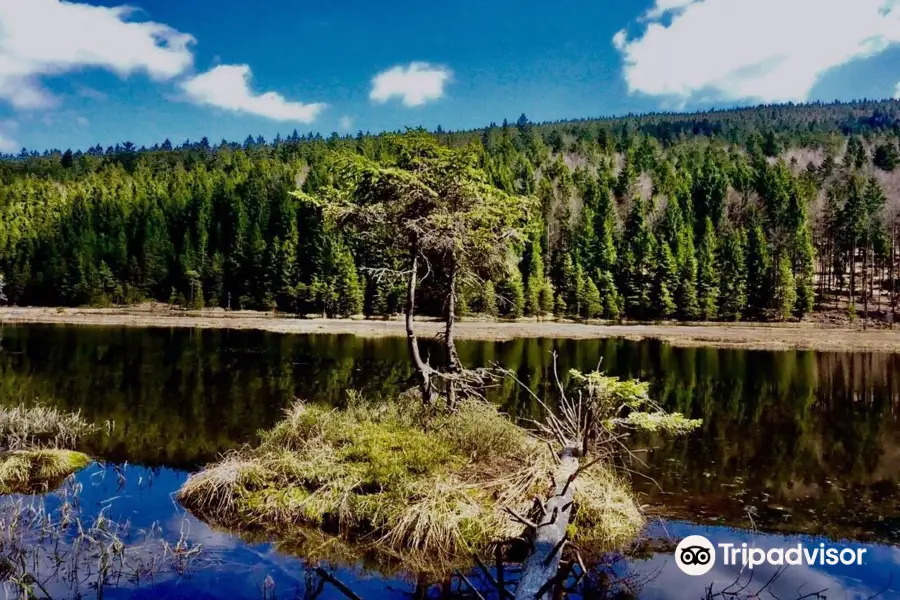 Kleine Arbersee