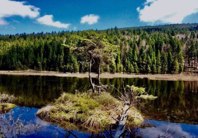 Kleine Arbersee