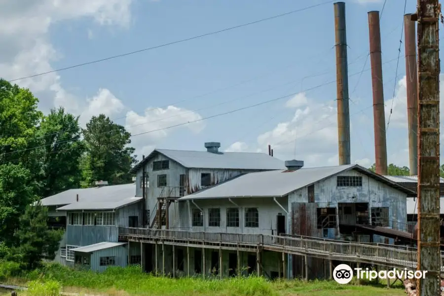 Southern Forest Heritage Museum