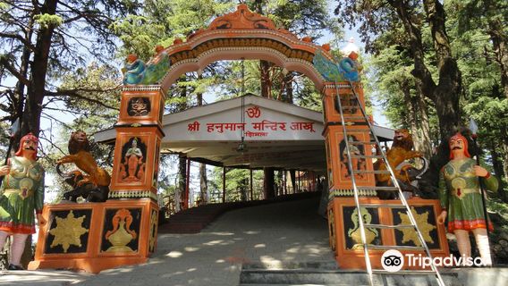 Shimla