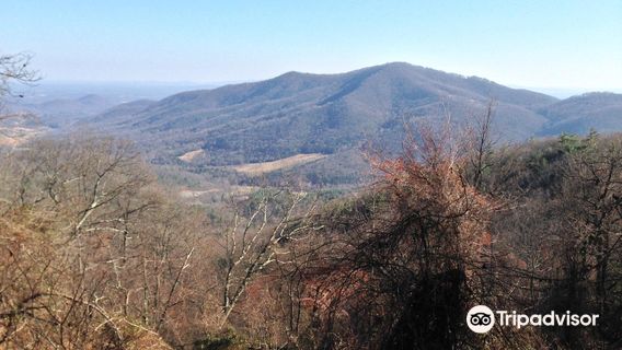 Patricia Ann Byrom Forest Preserve