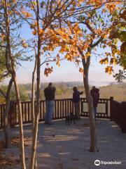 Clark's Hill/Norton State Historic Site