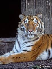 ブラントフォード・ツイン・バレー動物園