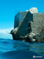 Diving Centro Sub Piombino