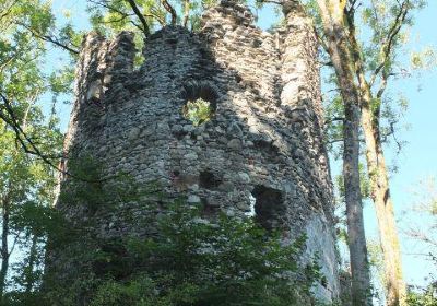 Burg Fluhenstein