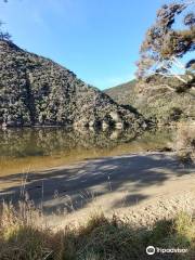 Taieri River Track