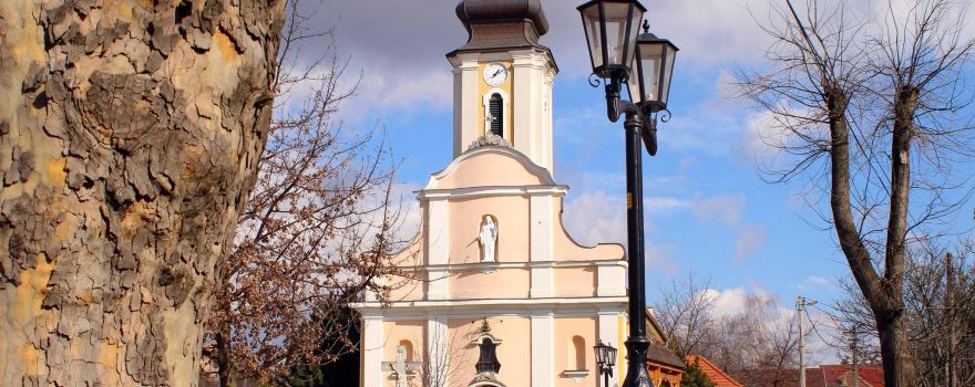 Roman Catholic Church