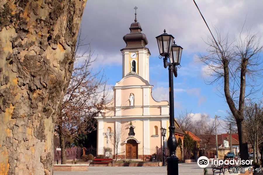 Roman Catholic Church