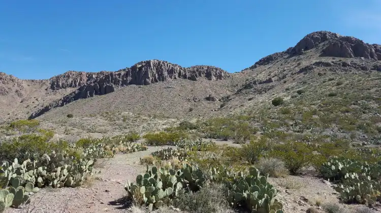 Hotels in Luna County