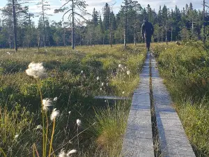 Nävernäsan