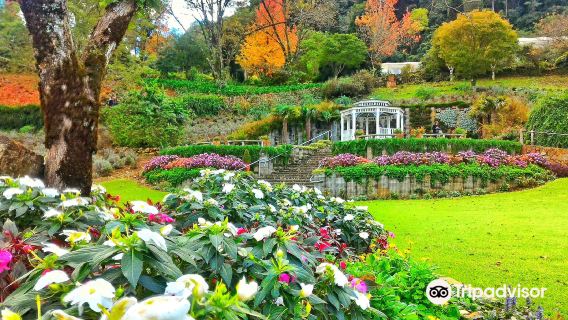 Le Jardin Parque de Lavanda