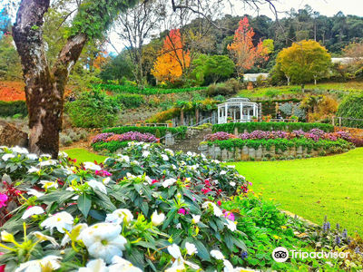 Le Jardin Parque de Lavanda