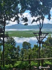 Tree House Puncak Urongo