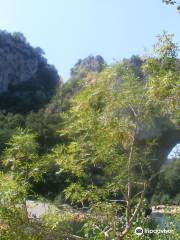 Réserve Naturelle Nationale des Gorges de l'Ardèche