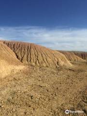 Sage Creek Wilderness Area