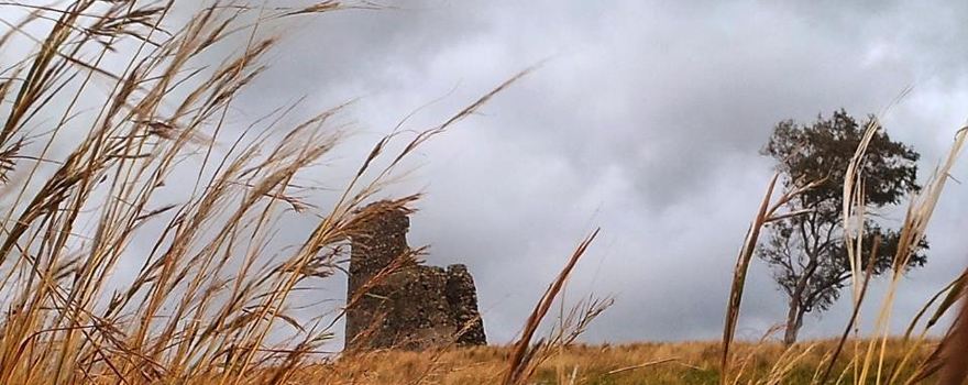 Torre di Capo Suvero