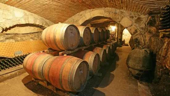 Cantine Antonio Caggiano