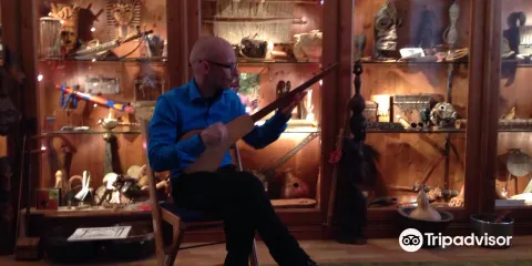 Musik Instrumenten Museum Der Volker