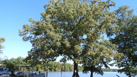 Wheeler National Wildlife Refuge Visitor Center