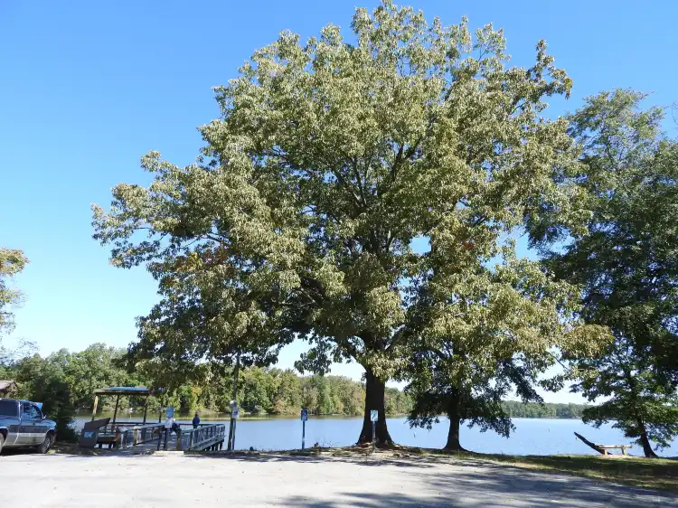 Hotels near Wheeler National Wildlife Refuge Visitor Center