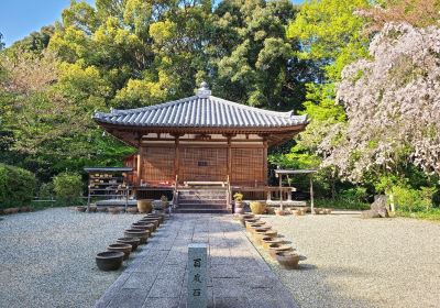 Ikoma