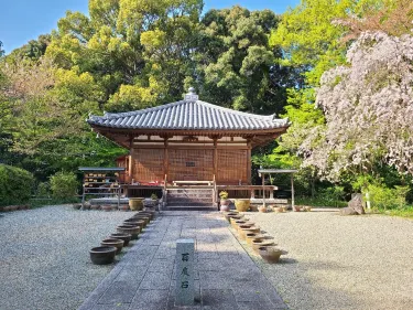Ikoma