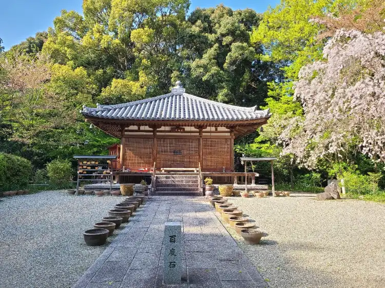 Ikoma